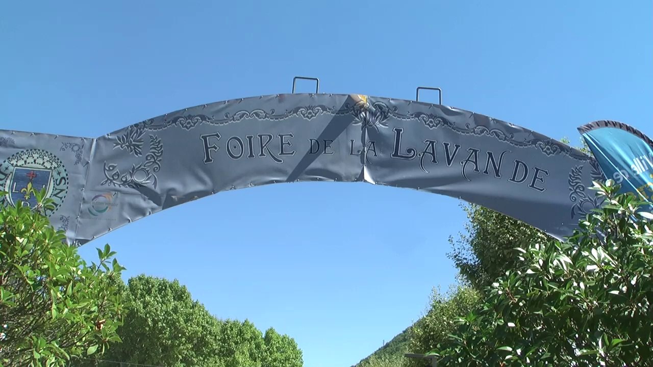 La foire de la lavande de Digne les bains fait des heureux!