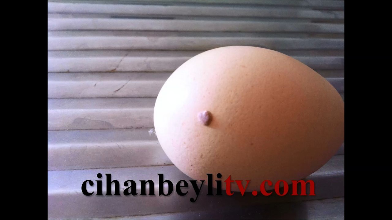 Kalp Şekilli Yumurta