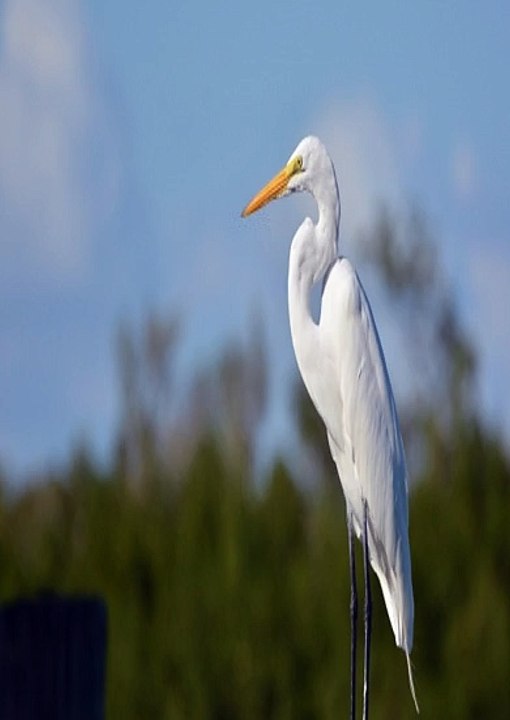 라이브배팅 【〃Supercar777.COM〃가입코드: 8282 〃】토토 재테크