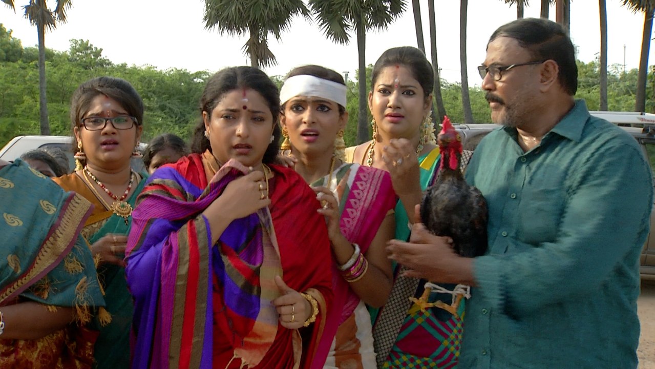 Priyamanaval Episode 489, 27/08/16