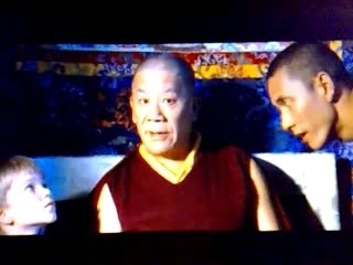 Little Bouddha - La Compassion