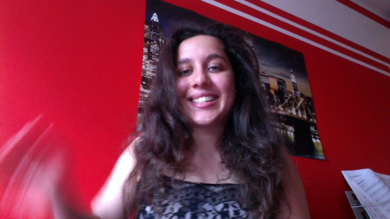 13 merkwürdige Gesetze, die Tiere betreffen