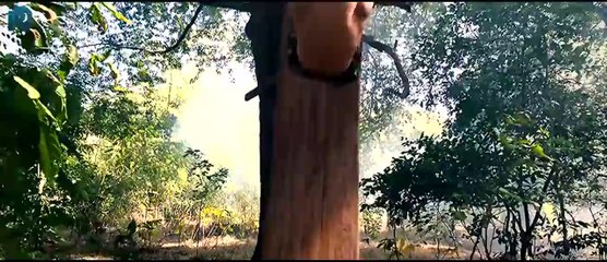 Commando 2 official Trailer 2016 - Vidyut Jamwal & Esha Gupta