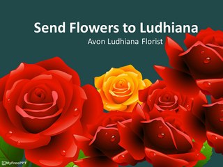 Send Flowers to Ludhiana