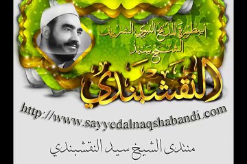 reda elsheikh
