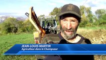 D!CI TV : Hautes-Alpes : La famille Martin perd 25 brebis en 3 attaques