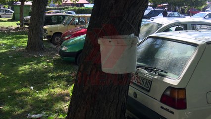 Hapësira e gjelbër në Çair shndërrohet në deponi mbeturinash (VIDEO)