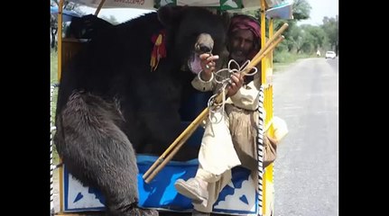 Funny pakistani people pictures collection part 11