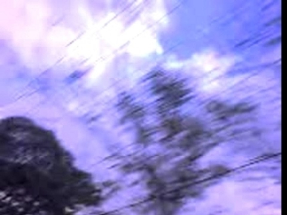 29-07-07_1801