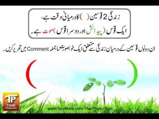 Zindagi | Islamic Quotes | Achi Baatein | Thar Production