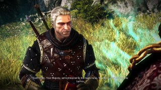 Playing The Witcher 2