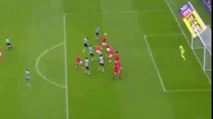 LASCHELLES Goal HD - Newcastle United FC 1-0 Brighton & Hove Albion - 27.8.2016