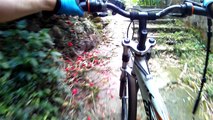 Full HD, 4k,  Mountain bike nas trilhas e praias de Ubatuba, Serra do Mar, pedalando com a bicicleta, SP, Brasil, 2016, Marcelo Ambrogi, (114)