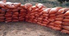 Mardin'de PKK Sığınağında 7 Ton Amonyum Nitrat Ele Geçirildi