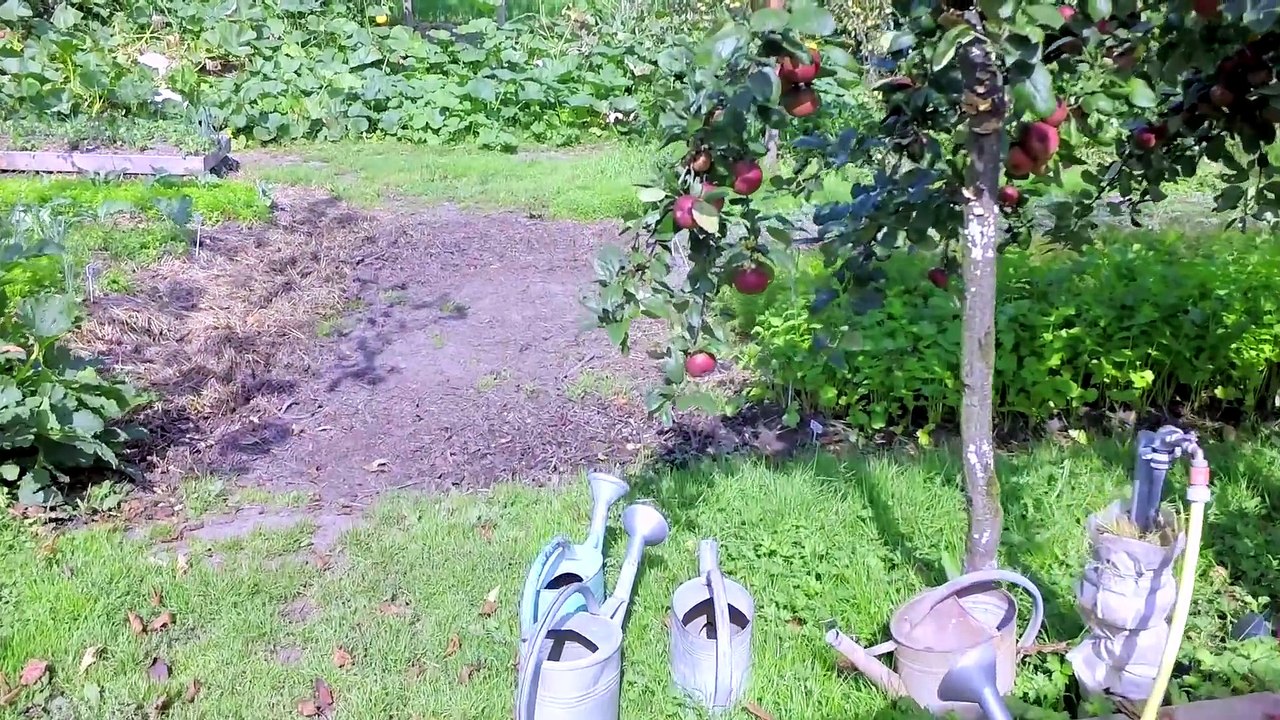 Les microfermes (1080p_25fps_H264-128kbit_AAC)