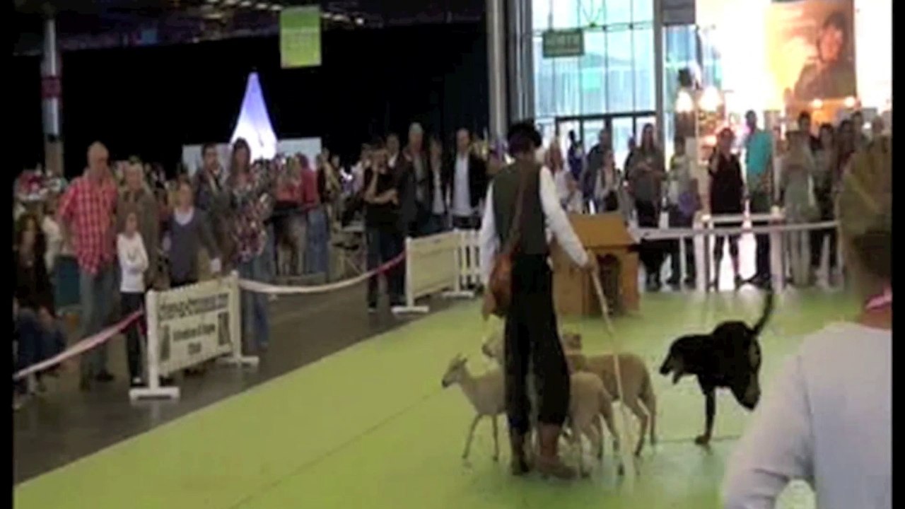 F'Cool le beauceron à Etienne Serclérat à 9 mois