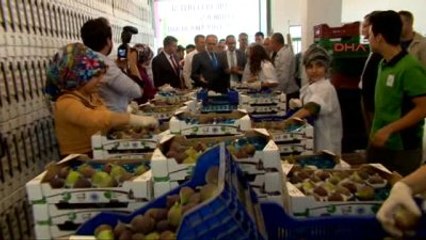 Bursa'da Belediyeden Berlin?e Siyah İncir İhracatı