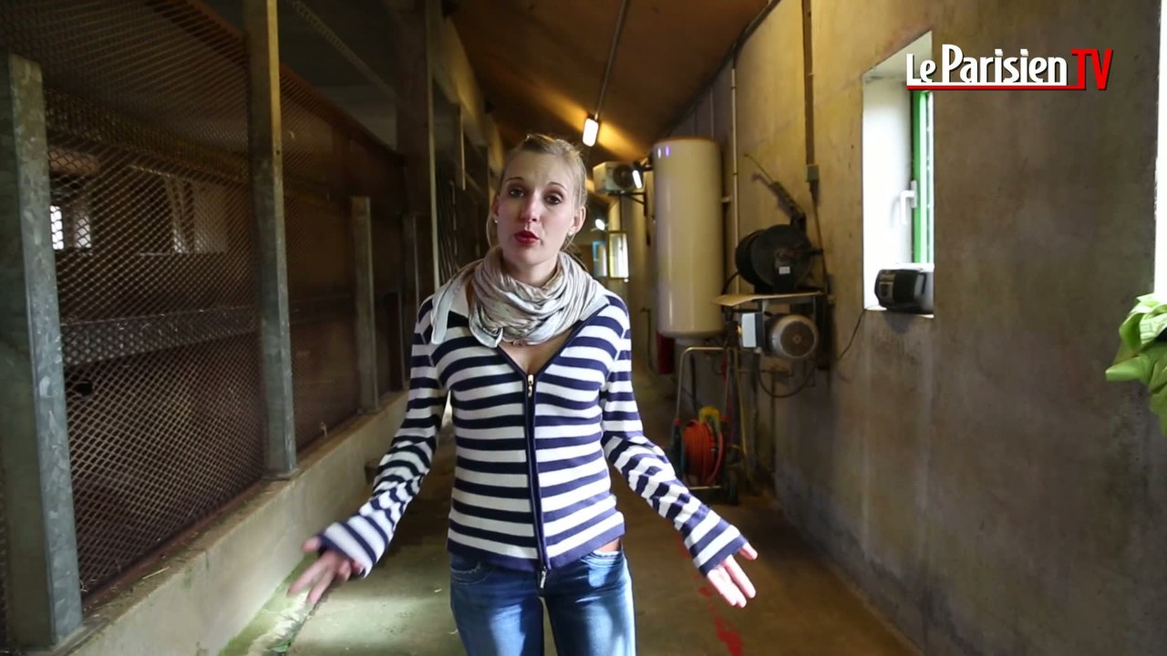 Parc «Planète sauvage» : notre reporter parmi les lions et les antilopes