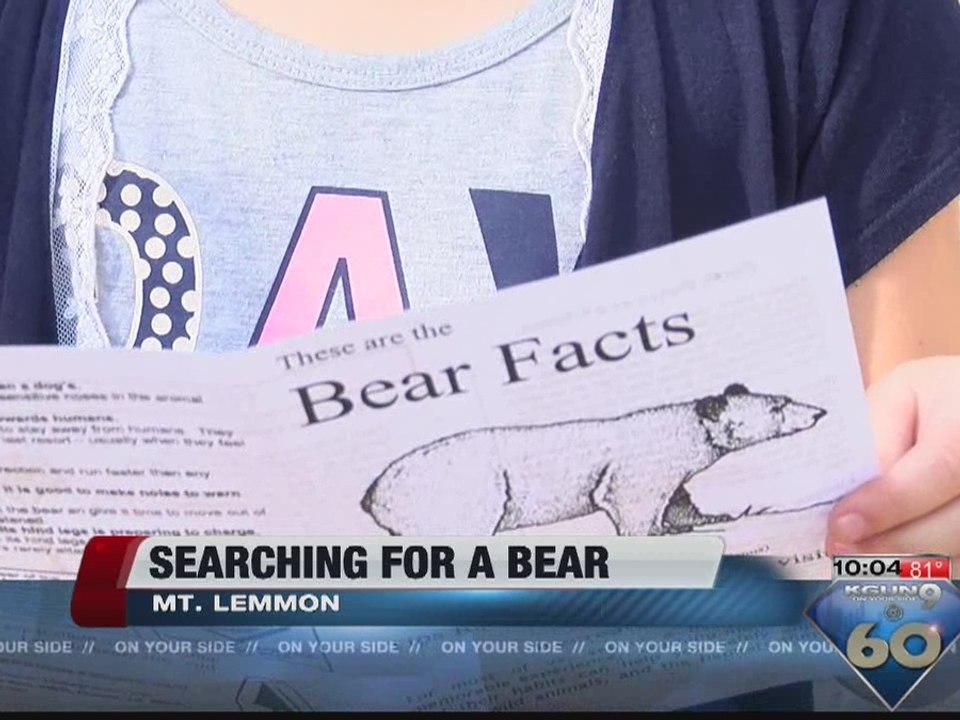 Mt Lemmon Bear Sighting