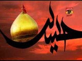 Safder Abbas Zaidi | Rehae Qaid Se | Muharram 2014