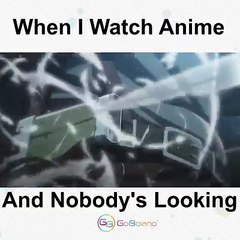anime vs hentai