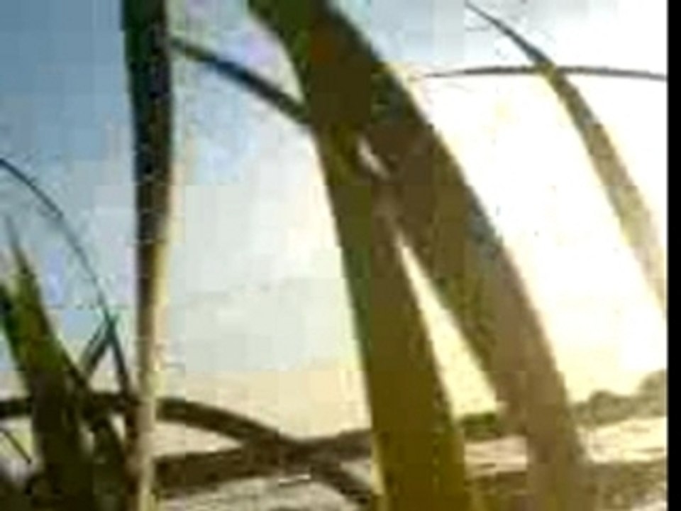 Passée du soire dans le marais de Neuilly la forêt