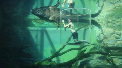 The Cage of Death - Darwin, Northern Territory