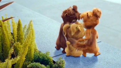 Cute and cheerful chipmunks