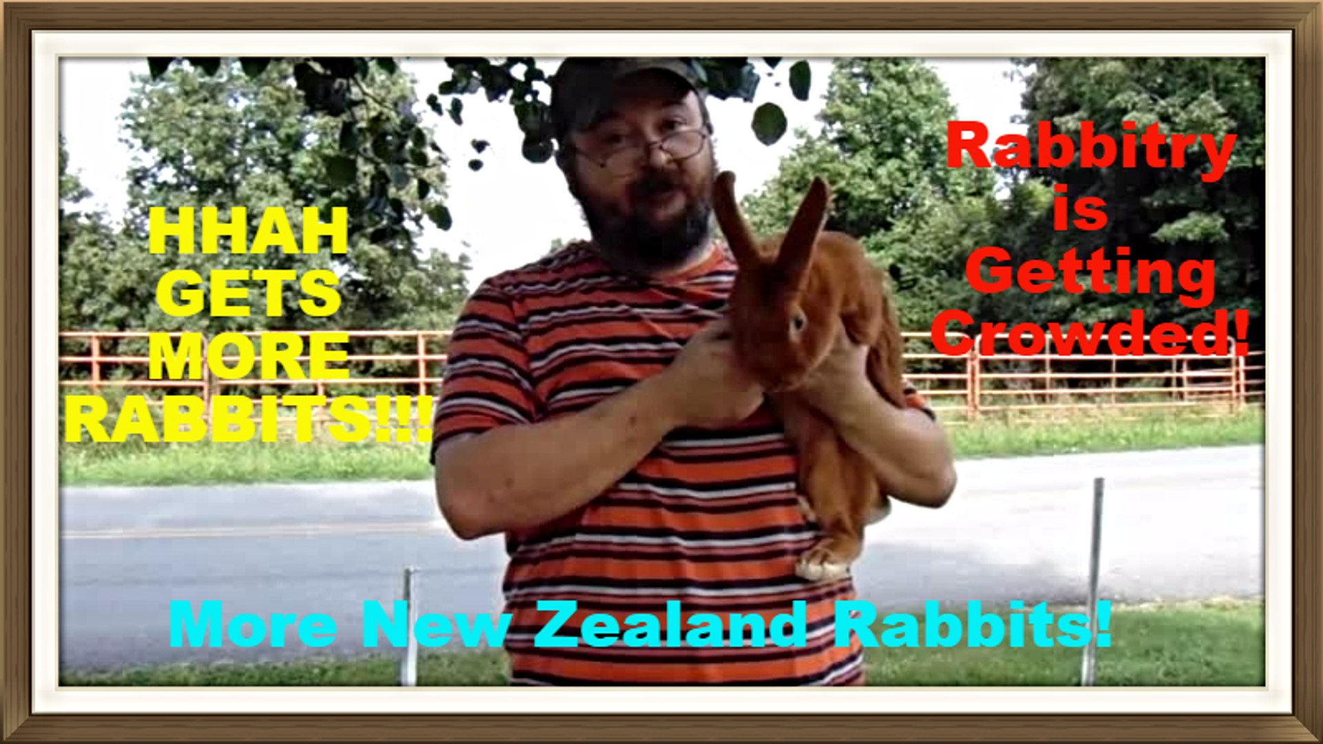 ⁣New Zealand Rabbit Additions to the Rabbitry Part 2 of 2.mp4