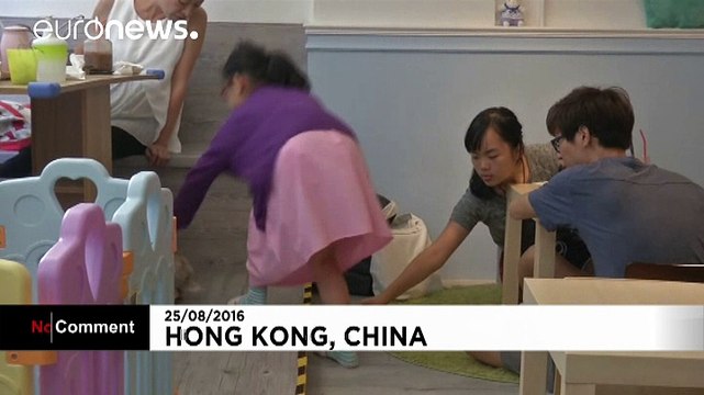 Hong Kong's first 'rabbit café' opens its doors