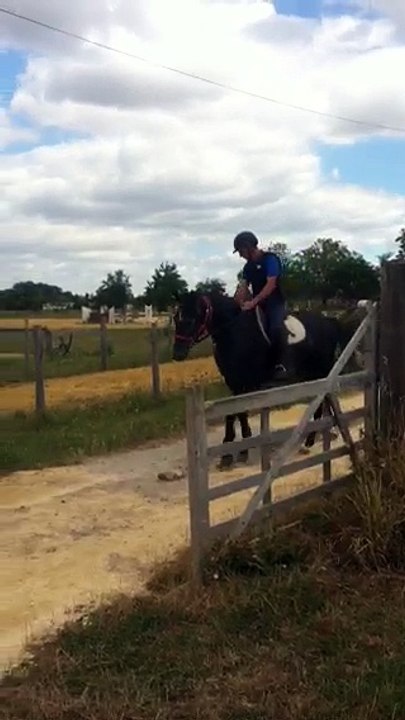 démon de midiVideo (16)