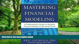 Big Deals  Mastering Financial Modeling: A Professional s Guide to Building Financial Models in