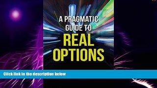 Big Deals  A Pragmatic Guide to Real Options  Best Seller Books Best Seller