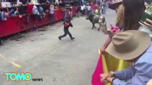 Pria diseruduk banteng dalam acara uji nyali - Tomonews