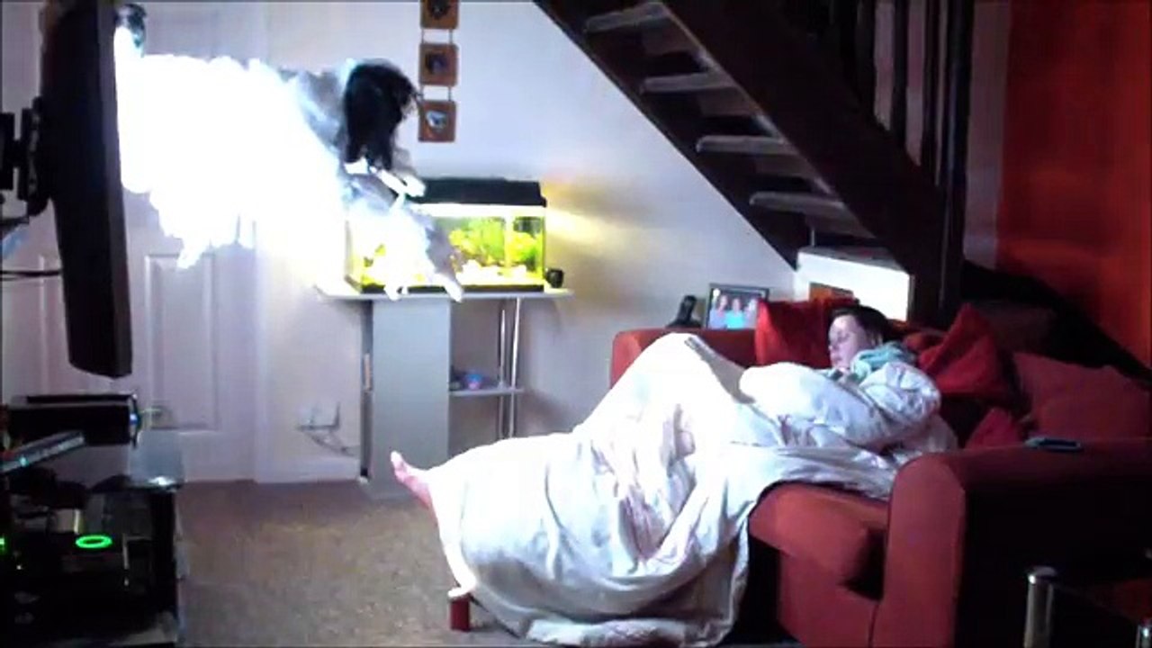 The Ring Wake Up Prank