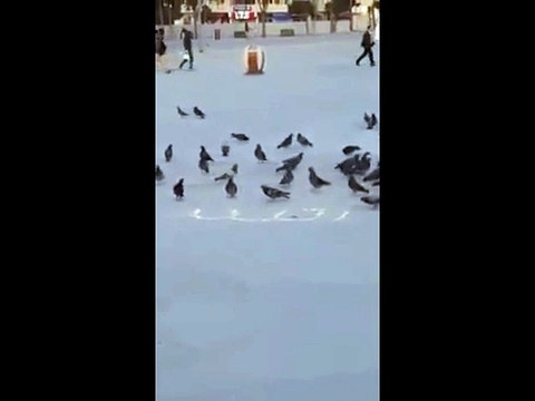 You will not believe they wrote the name of God in Arabic on the ground grains of wheat, what he did to the bathroom