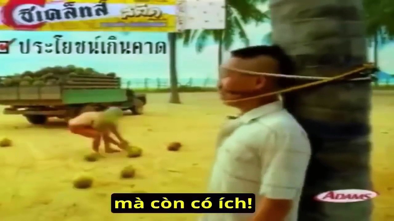 Clip quang cao keo cao su
