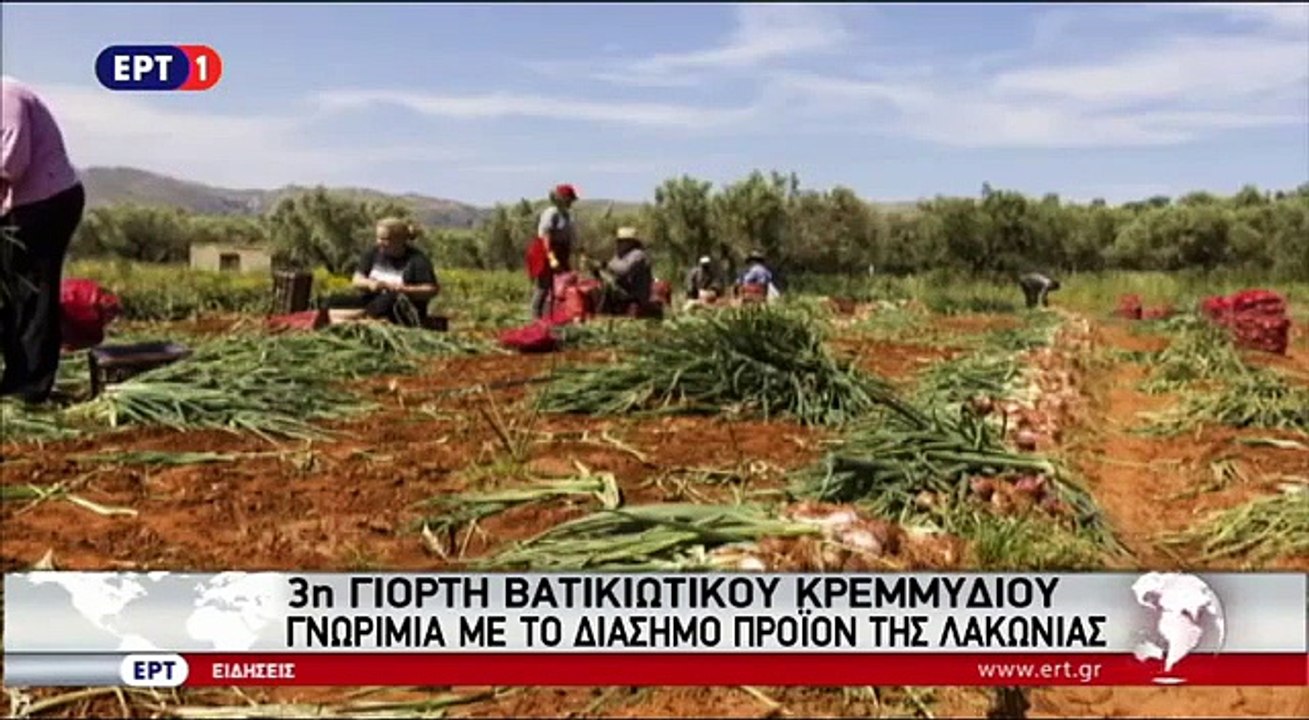 ΣΦΥΓΜΟΣ TV: 3η γιορτή Βατικιώτικου κρεμμυδιού - Γνωριμία με το διάσημο προϊόν της Λακωνίας - (ΕΡΤ 1 27.8.2016)