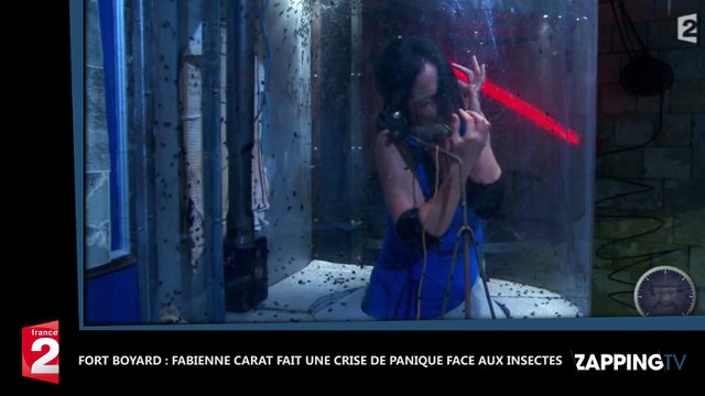 Fort Boyard : Fabienne Carat totalement hystérique face à des insectes (Vidéo)