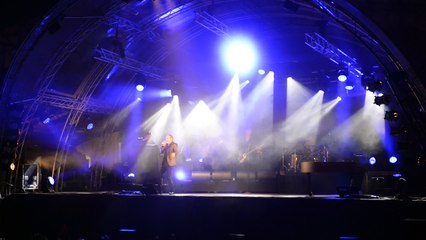 Alain Chamfort à la fête des Solidarités