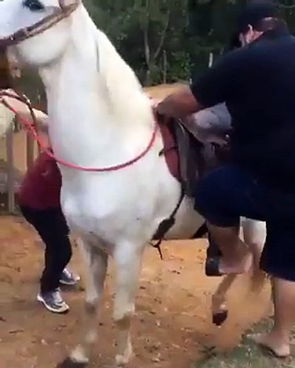 Most funniest video