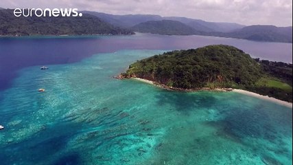 Japon : le blanchiment des coraux s'aggrave vers les îles Okinawa