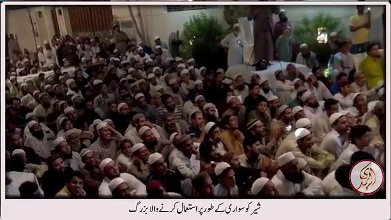 A man who used to ride on lion by Maulana Tariq Jameel