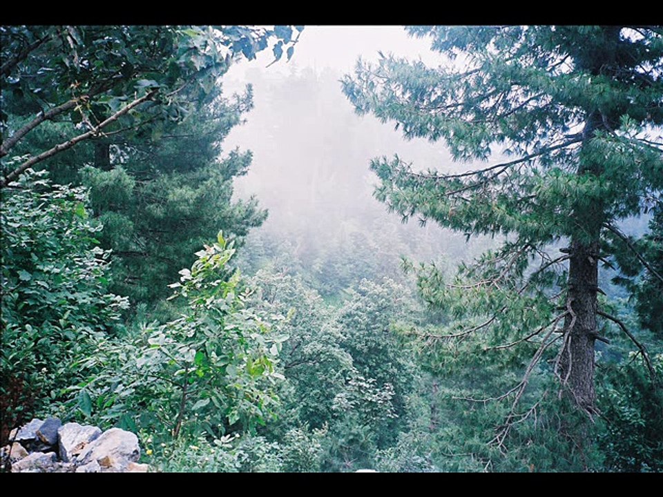 aa ab laut chalein karaoke sung by A Javaid