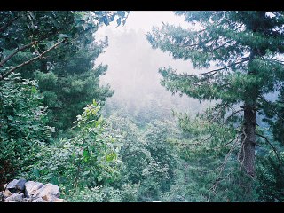 aa ab laut chalein karaoke sung by A Javaid