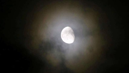 귀뚜라미 자연의 소리