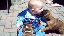 Puppies and Babies Playing Together Very Cute Compilation 2015 !