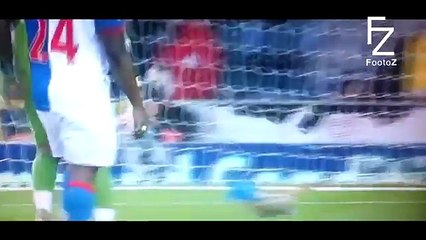 Animals on the Football Pitch ● Funny Moments ● HD