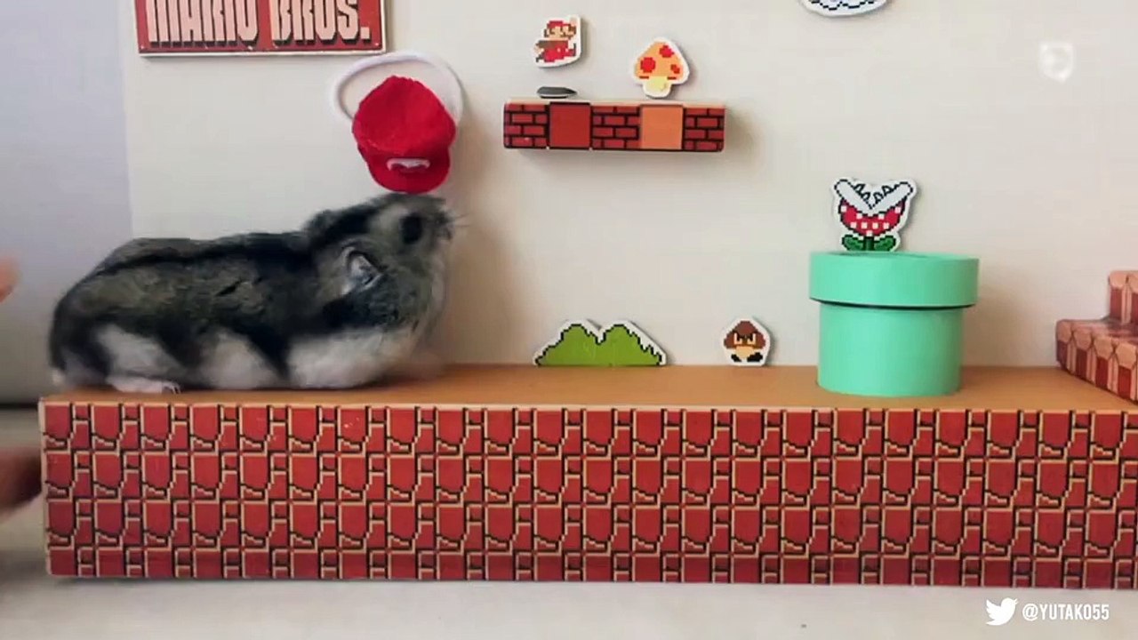 Super Hamster Bros