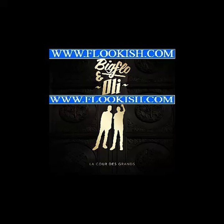 Bigflo & Oli -  Du disque dur au disque d'or